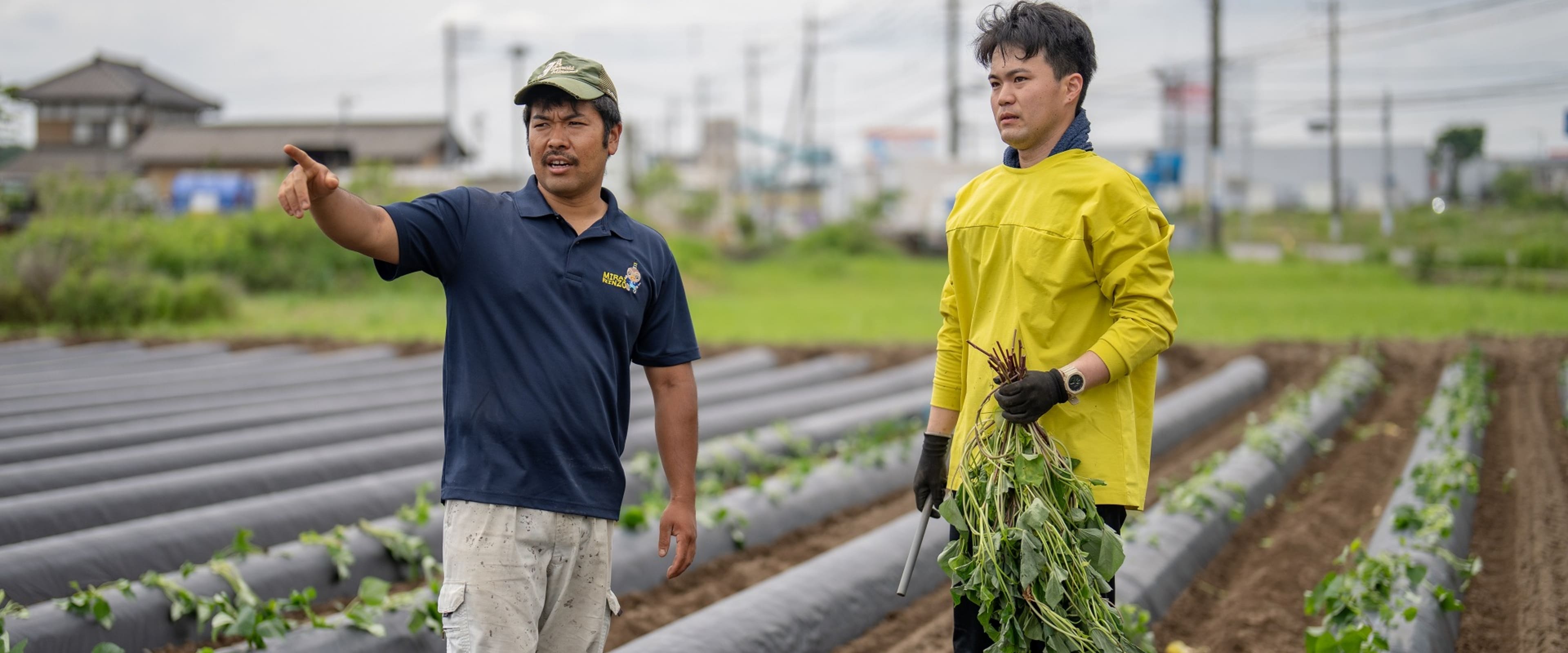 庄七農園の仲間