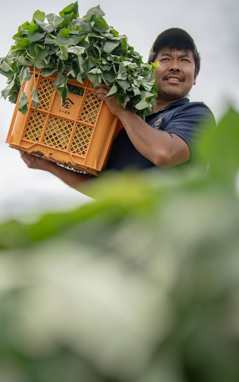庄七農園の園主