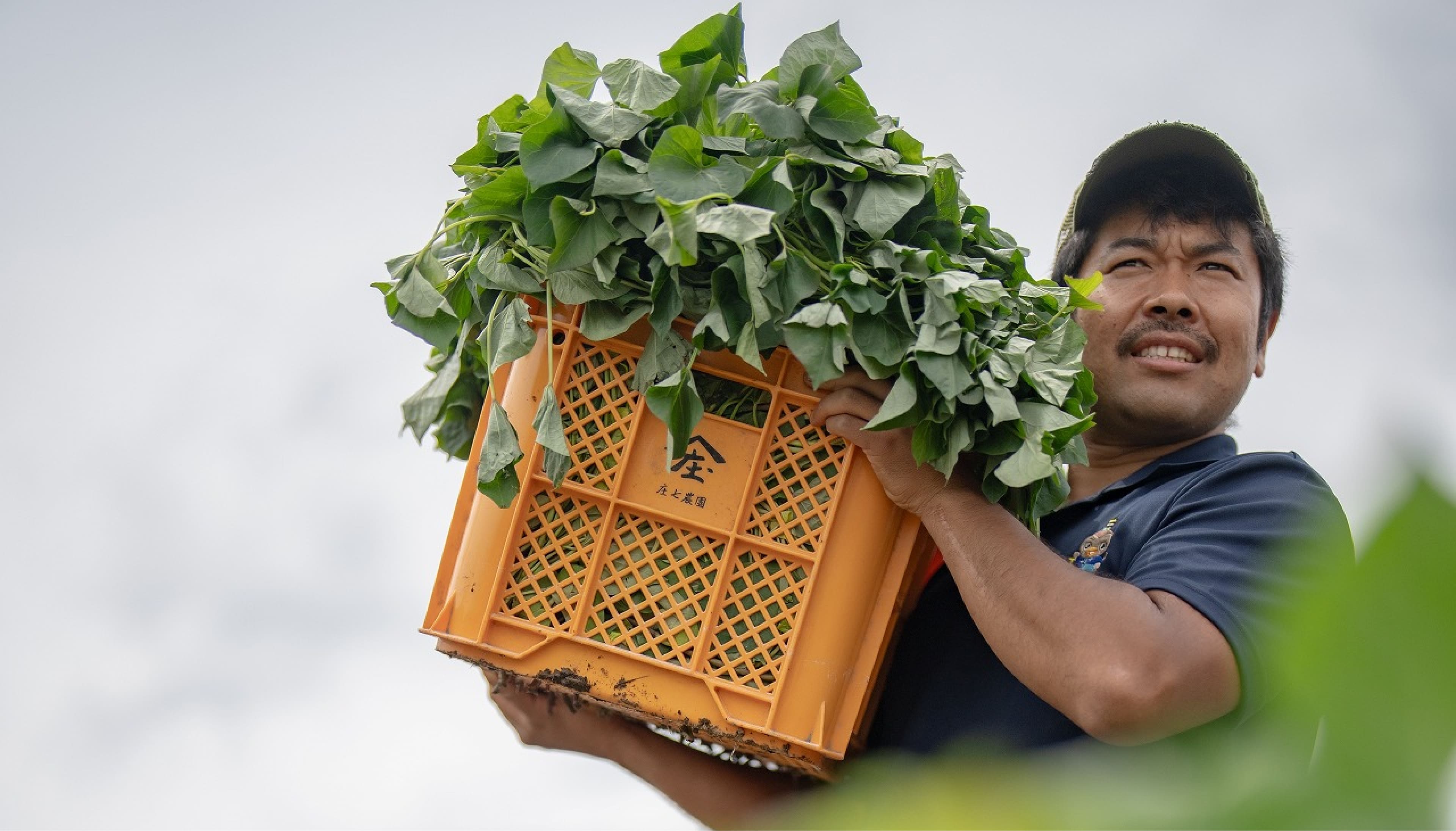 庄七農園の想い
