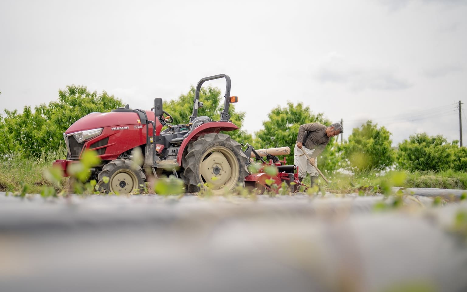 土壌管理の様子1