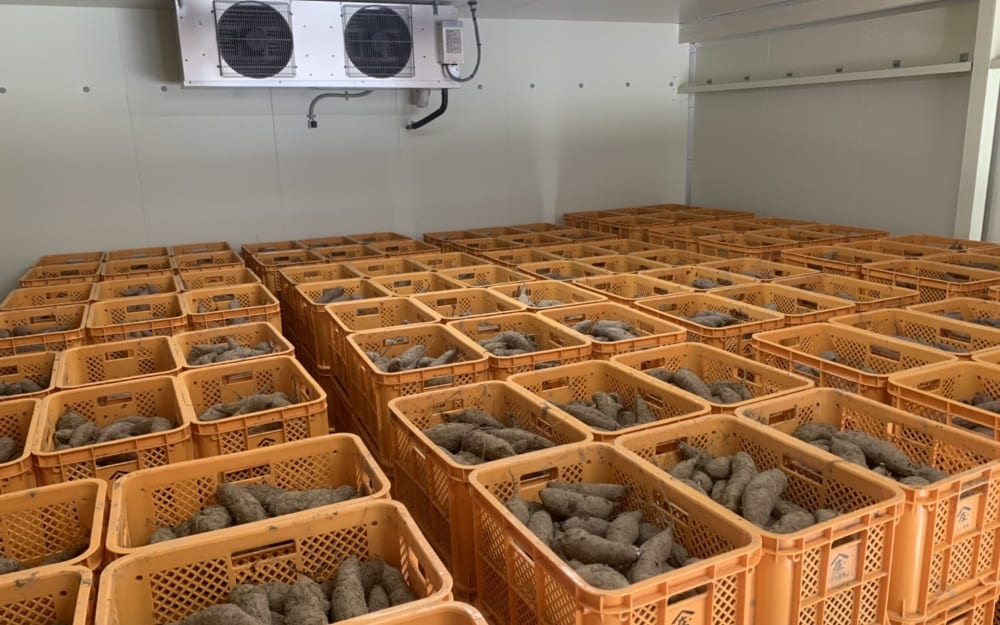 さつまいも熟成庫