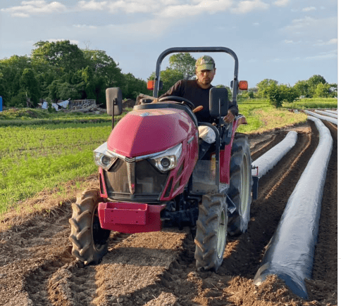 畑を耕している写真