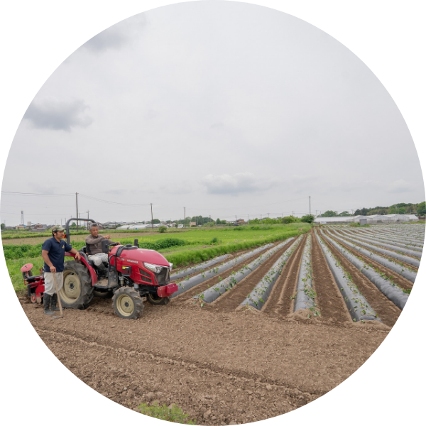 土へのこだわり