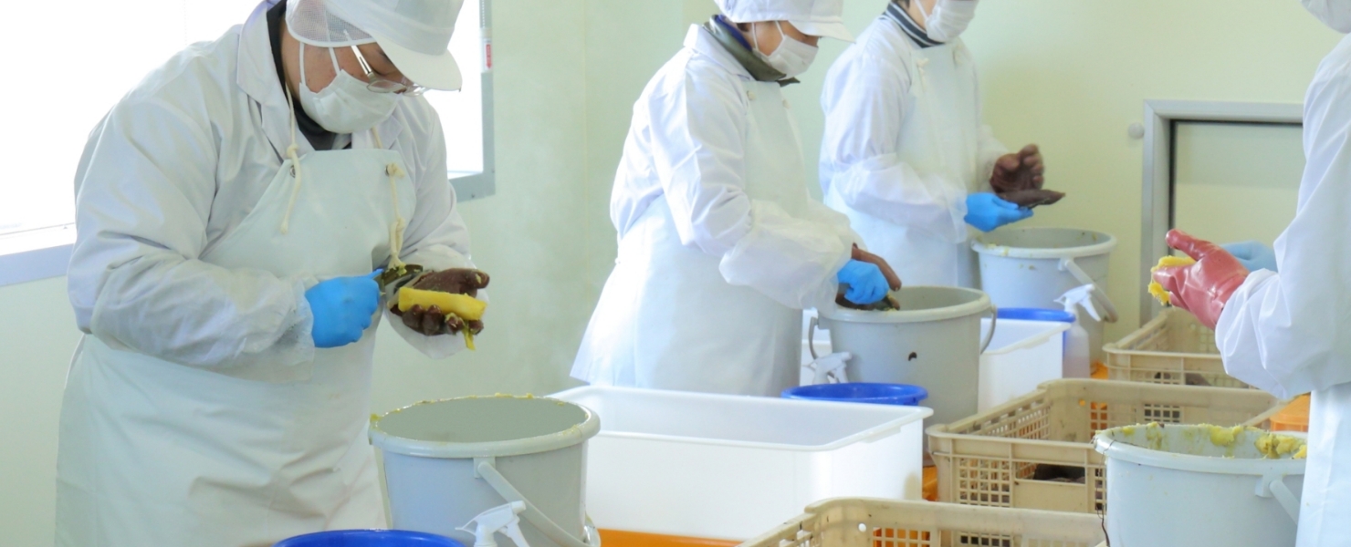 煌シリーズ ​​​​​​​（丸干し）の写真6