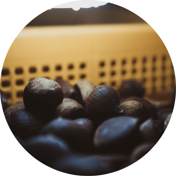 熟成へのこだわり