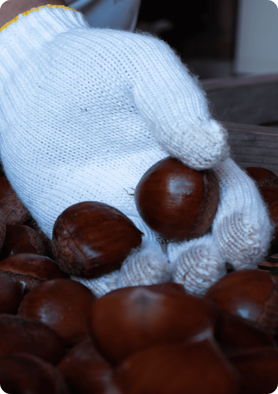 選別と切れ目入れ